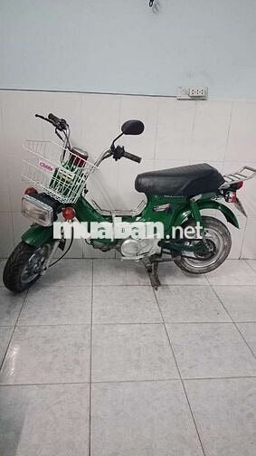 Honda Chaly 50 Xanh 
