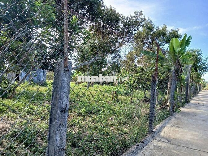 SỞ HỮU NGAY MẢNH ĐẤT AN YÊN GIỮA LÀNG CHÙA ĐẠI NINH