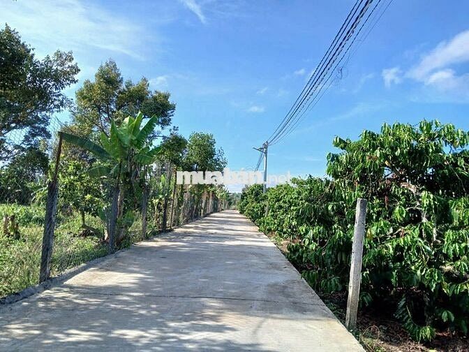 SỞ HỮU NGAY MẢNH ĐẤT AN YÊN GIỮA LÀNG CHÙA ĐẠI NINH