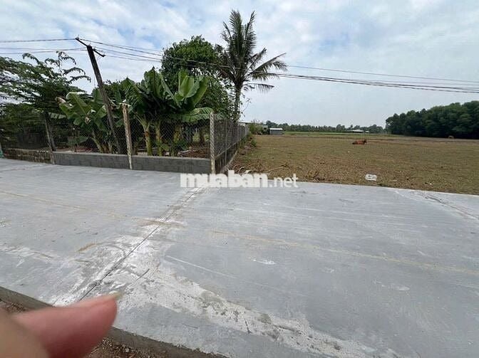 💥 40 nền liền kề ...( 5m x 30m )...full thổ cư, sổ sẵn 🌾 xã Hậu Nghĩa