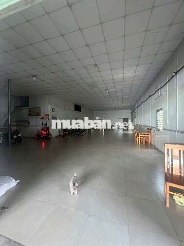 cho thuê xưởng sản xuầt Hốc Môn. Đặng Phúc Viĩnh.DT 13,5 x 55 giá 35 