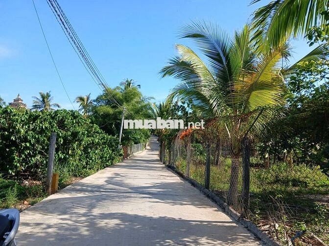 SỞ HỮU NGAY MẢNH ĐẤT AN YÊN GIỮA LÀNG CHÙA ĐẠI NINH