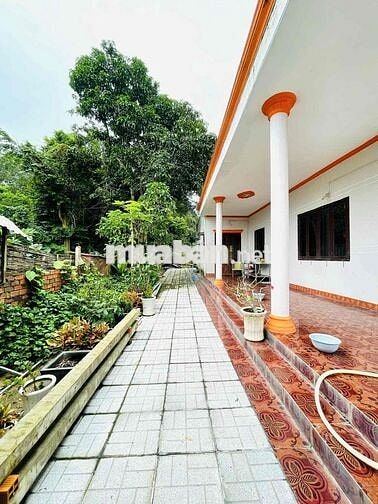 Bán đất mặt tiền đường Tỉnh lộ 15 tại 761 Đường Tỉnh lộ 15, 7.5 tỷ