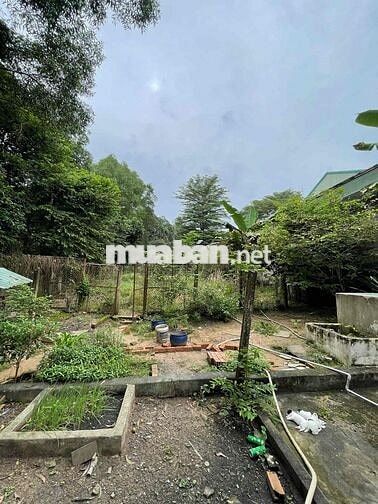 Bán đất mặt tiền đường Tỉnh lộ 15 tại 761 Đường Tỉnh lộ 15, 7.5 tỷ
