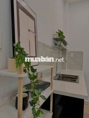 Studio Cửa Sổ Ngay Trung Tâm Quận 1 