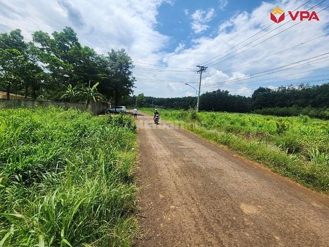 Thông báo đấu giá tài sản của bà Lê Thị Trang (Đồng Nai)