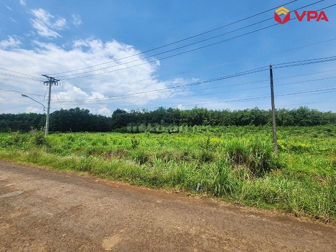 Thông báo đấu giá tài sản của bà Lê Thị Trang (Đồng Nai)