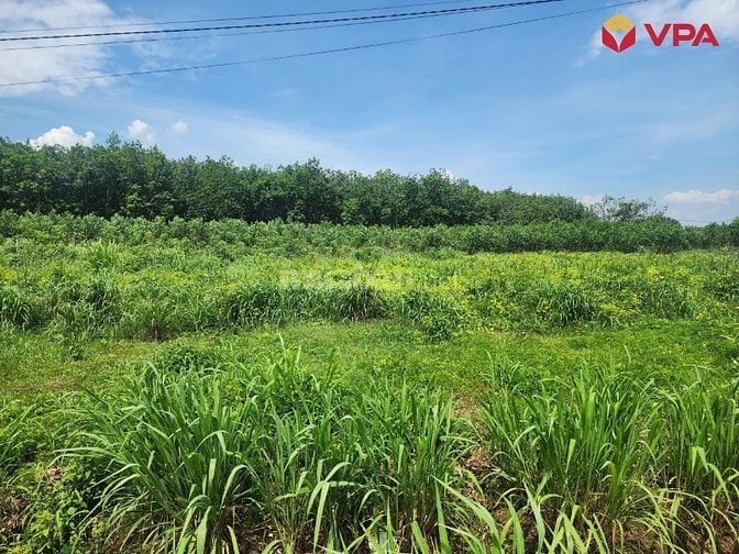 Thông báo đấu giá tài sản của bà Lê Thị Trang (Đồng Nai)