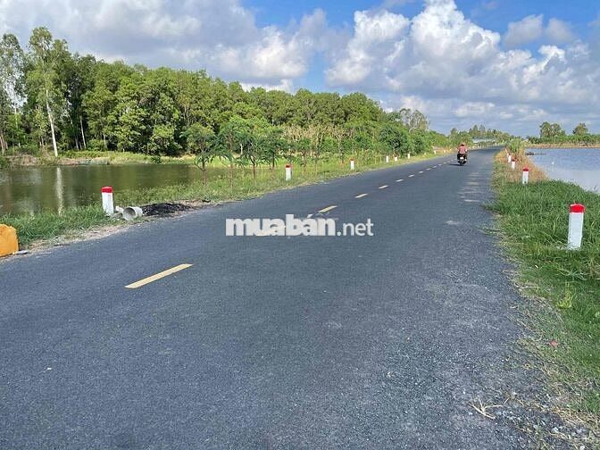 em cần bán đất mặt tiền lộ đông tây nối xuyên á cà mau