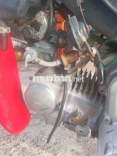 Honda Wave màu Đỏ