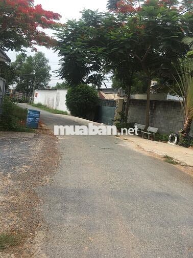 Cần bán 200m2 đất để xây trọ tại xã Thái Mỹ, giá 1tỷ450 có sẵn 2 sổ 