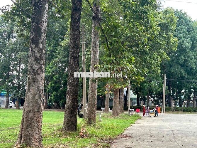 bán nhà đường Nguyễn hữu cảnh sau sân vận động gò đậu Bình Dương
