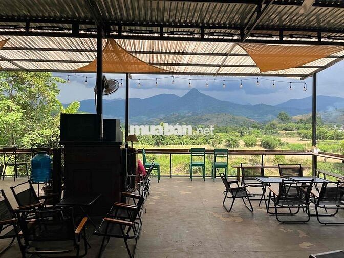 Bán hoặc sang nhượng quán cà phê view siêu đẹp