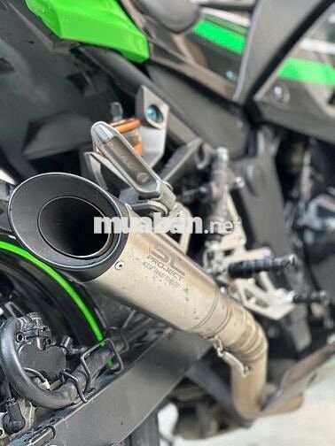Kawasaki Ninja 300 Đen, Xanh lá
