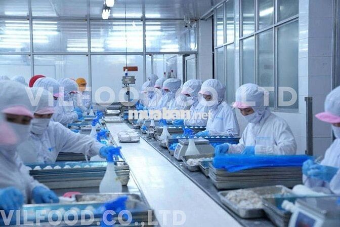 TUYỂN CÔNG NHÂN THỰC PHẨM ĐÔNG LẠNH