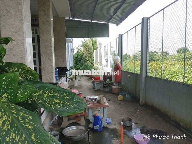 Bán nhà vườn mặt phố DT 847m2 giáp sông kế chợ Đình giá 4,5 triệu/m2