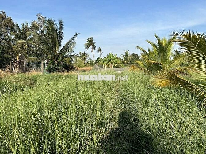 800m2 FULL THỔ chỉ 1,1 Tỷ. ĐƯỜNG ô Tô. Sổ Sẵn