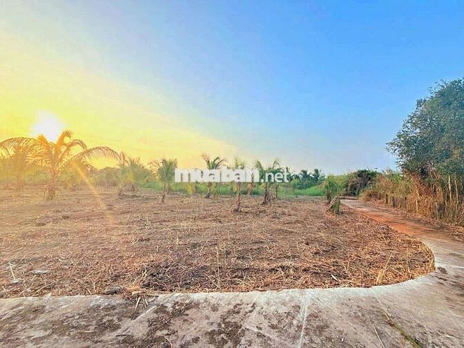 Hàng Vip, chỉ 2.5 tỷ sở hữu 3110m2 đất có thổ View Kênh
