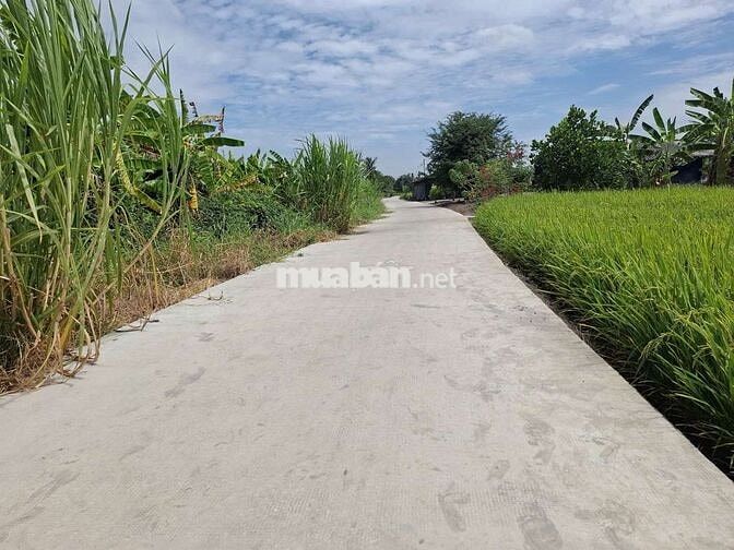 800m2 FULL THỔ chỉ 1,1 Tỷ. ĐƯỜNG ô Tô. Sổ Sẵn