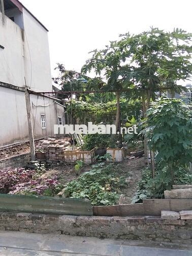 TRUNG TÂM LIÊN HÀ – THƯ LÂM, GẦN ỦY BAN, 100m²,Ô TÔ ĐỖ CỬA – CHỈ 4 TỶ