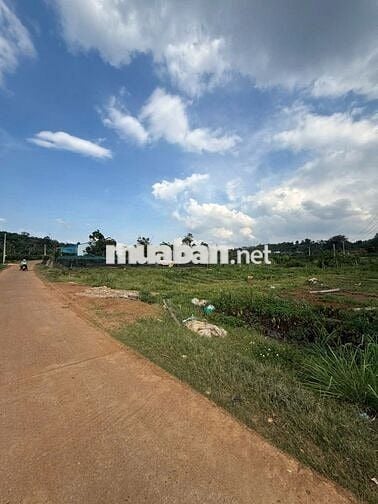 Bán đất ngã 4 đường vào cửa khẩu Đắk Puer