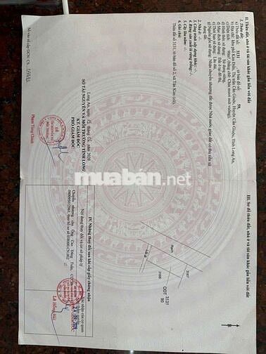 Bán nhà sổ hông  riêng xe hơi ngũ trong nhà