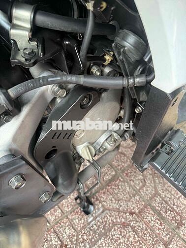 Honda SH 150 2010 Trắng