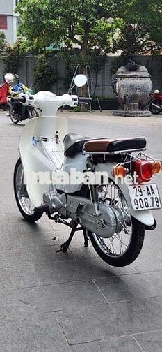 Honda Cup 50cc Trắng