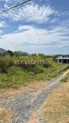 BÁN ĐẤT 2 MẶT TIỀN TỈNH LỘ 3 – THÔN CÂY XOÀI, SUỐI TÂN, CAM LÂM, 890M2