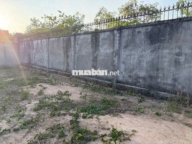 CHỦ KẸT GỬI BÁN NHANH GỌN KHU ĐẤT XÃ LONG ĐIỀN giá chỉ từ 1ty1