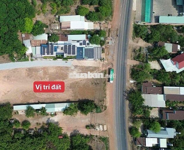 Chú Hai muốn bán gấp miếng đất để lo tiền học cho con gái