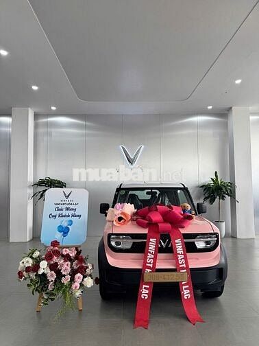 Xe điện VinFast VF3 Đa dạng màu