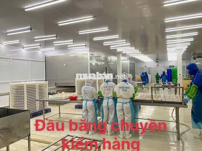  CÔNG NHÂN CHẾ BIẾN THỦY SẢN CHÂU THÀNH