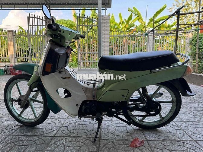 Kawasaki Max Xanh lá, Trắng
