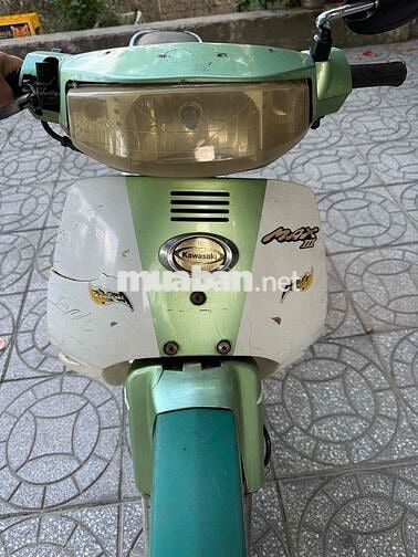 Kawasaki Max Xanh lá, Trắng