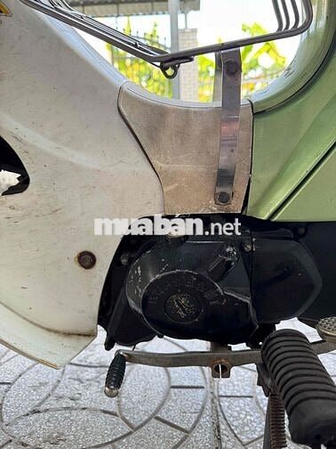 Kawasaki Max Xanh lá, Trắng