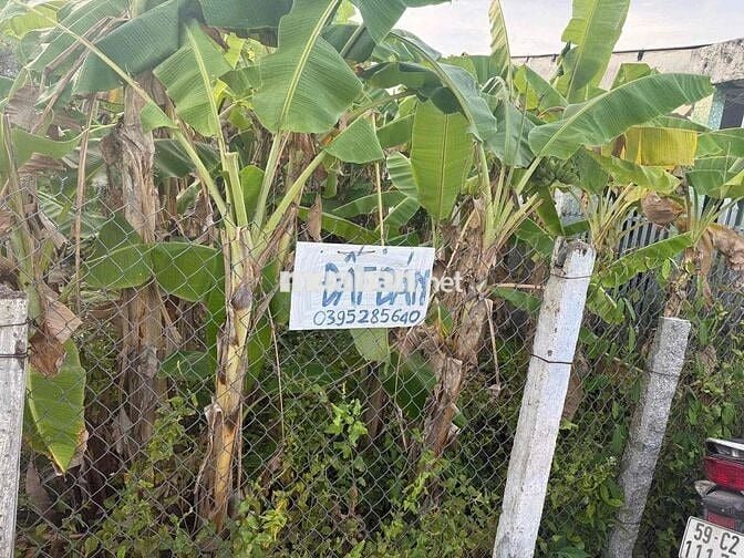 Bán đất chính chủ, đất trung tâm thị trấn gặp trường thpt thị trấn