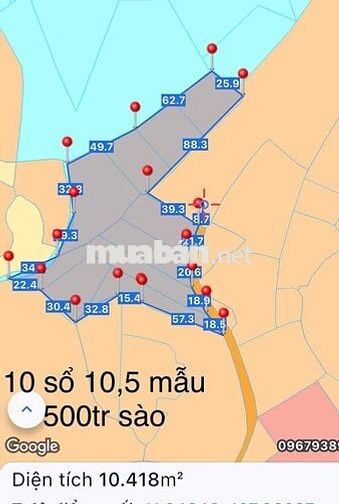 Cần bán 10,5 mẫu đất cây lâu năm đã sẵng hạ tầng điện nước