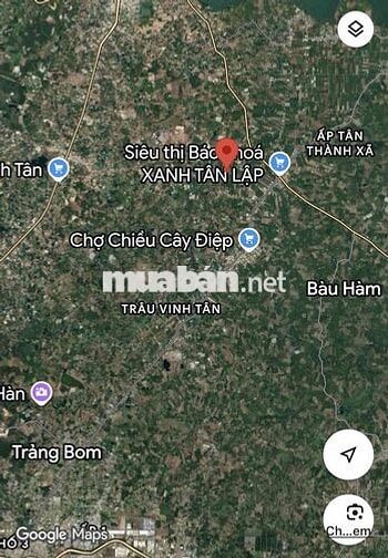 Cần bán 10,5 mẫu đất cây lâu năm đã sẵng hạ tầng điện nước