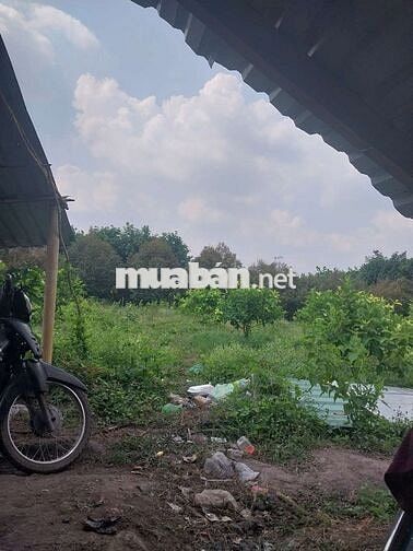 Cần bán miến đất ace có nhu cầu thì liên hệ mình nhe