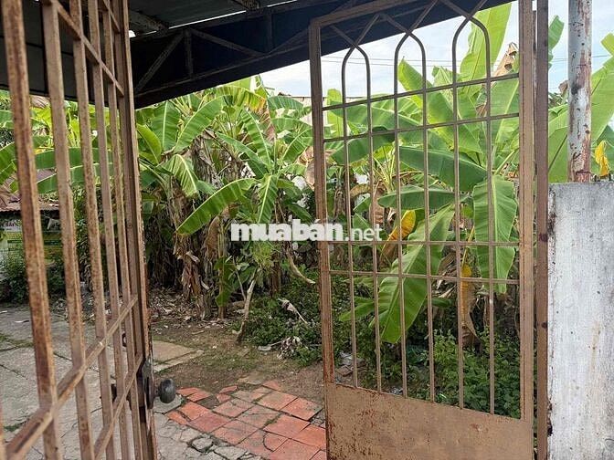 Bán đất chính chủ, đất trung tâm thị trấn gặp trường thpt thị trấn