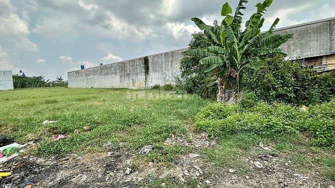 Bán Đất 1.500m2 thổ cư đường Tư Lửa ngay KCN HẢI SƠN