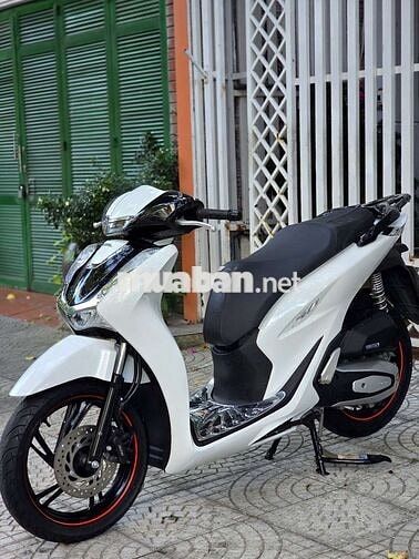 Honda SH Sport 2024 Trắng đen