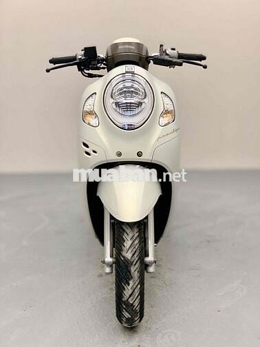 Scoopy 2023 Nhập Indo Trắng Nhám Smartkey Xe Đẹp