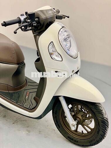 Scoopy 2023 Nhập Indo Trắng Nhám Smartkey Xe Đẹp