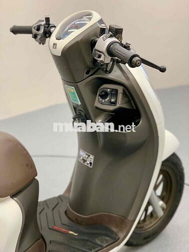 Scoopy 2023 Nhập Indo Trắng Nhám Smartkey Xe Đẹp