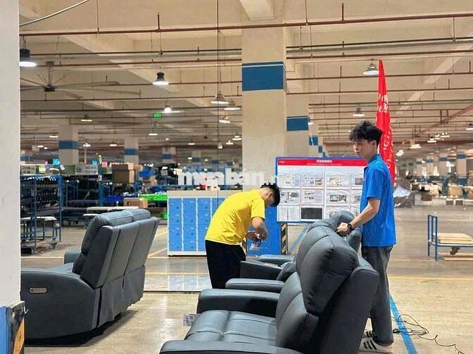 CẦN TUYỂN 300 LAO ĐỘNG THỜI VỤ GẤP