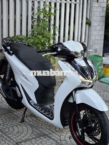 Honda SH Sport 2024 Trắng đen