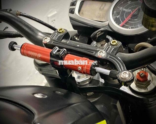 TRIUMOH SPEED TRIPLE 1050 2010.
