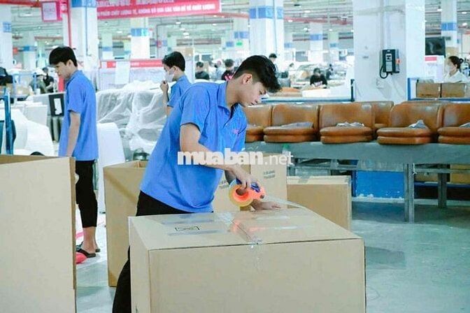 Tuyển nhân sự nhiều vị trí